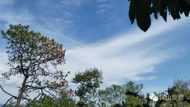 *防古大門(mén)拉手?_橫移式大門(mén)電機(jī)_*古式大門(mén)