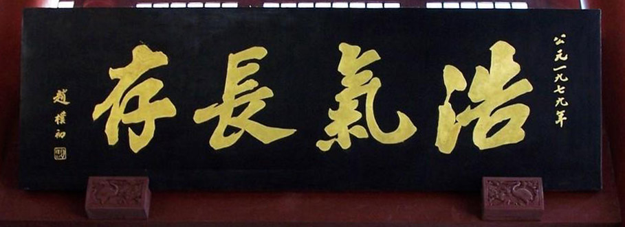 同仁堂匾額書法_費(fèi)新我匾額書法_書法寫匾額