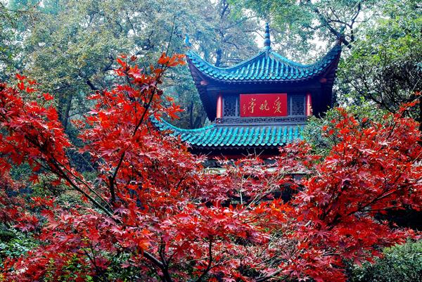 保和殿匾額是什么字_明倫堂匾額是誰所書_月上重火彩虹堂書包網