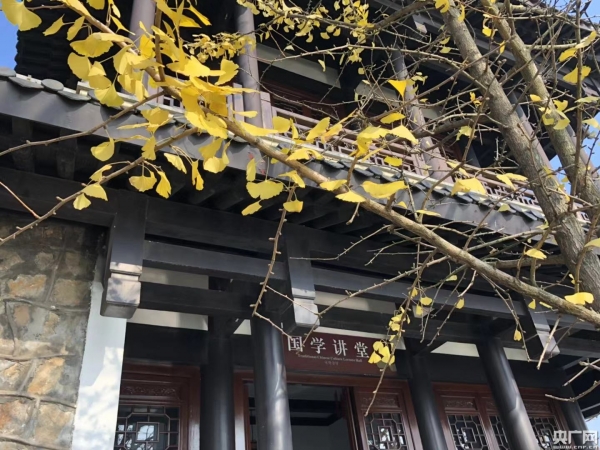 匾額_學(xué)府匾額_北大匾額京師大學(xué)堂牌匾北大招牌北京大學(xué)匾額
