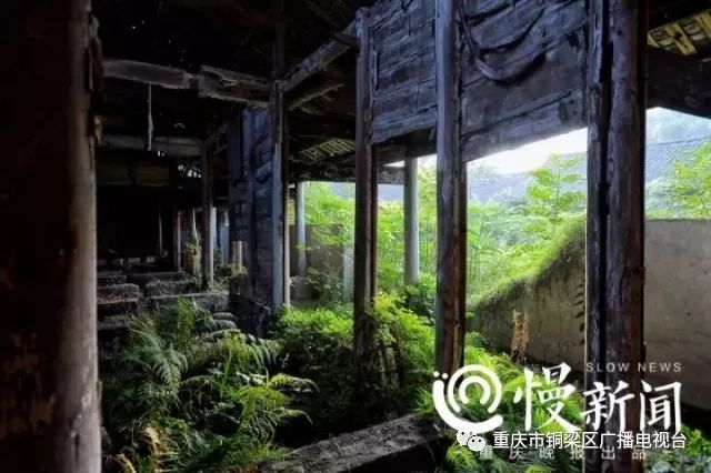 牌匾標(biāo)識(shí)是什么意思_匾額標(biāo)識(shí)_牌匾標(biāo)識(shí)設(shè)置規(guī)范