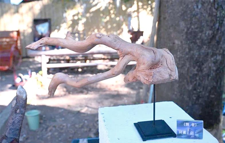福州倉山區根雕藝術展_80后根雕藝術家張微_中國根雕之鄉