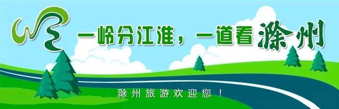鳳陽縣官塘鎮(zhèn)_木雕特點(diǎn)_唐氏木雕