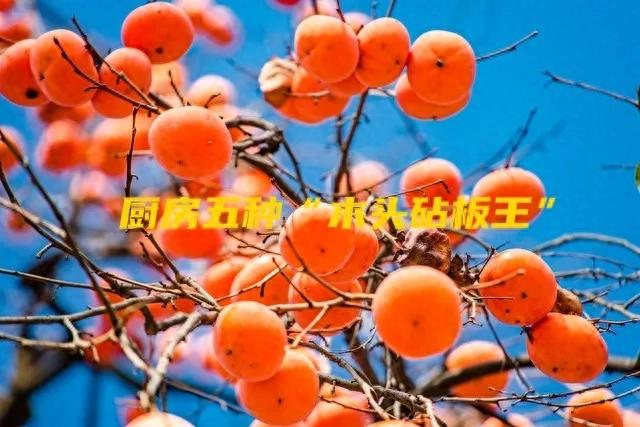 天然木頭砧板_傳統(tǒng)木頭砧板種類_好木材有哪些