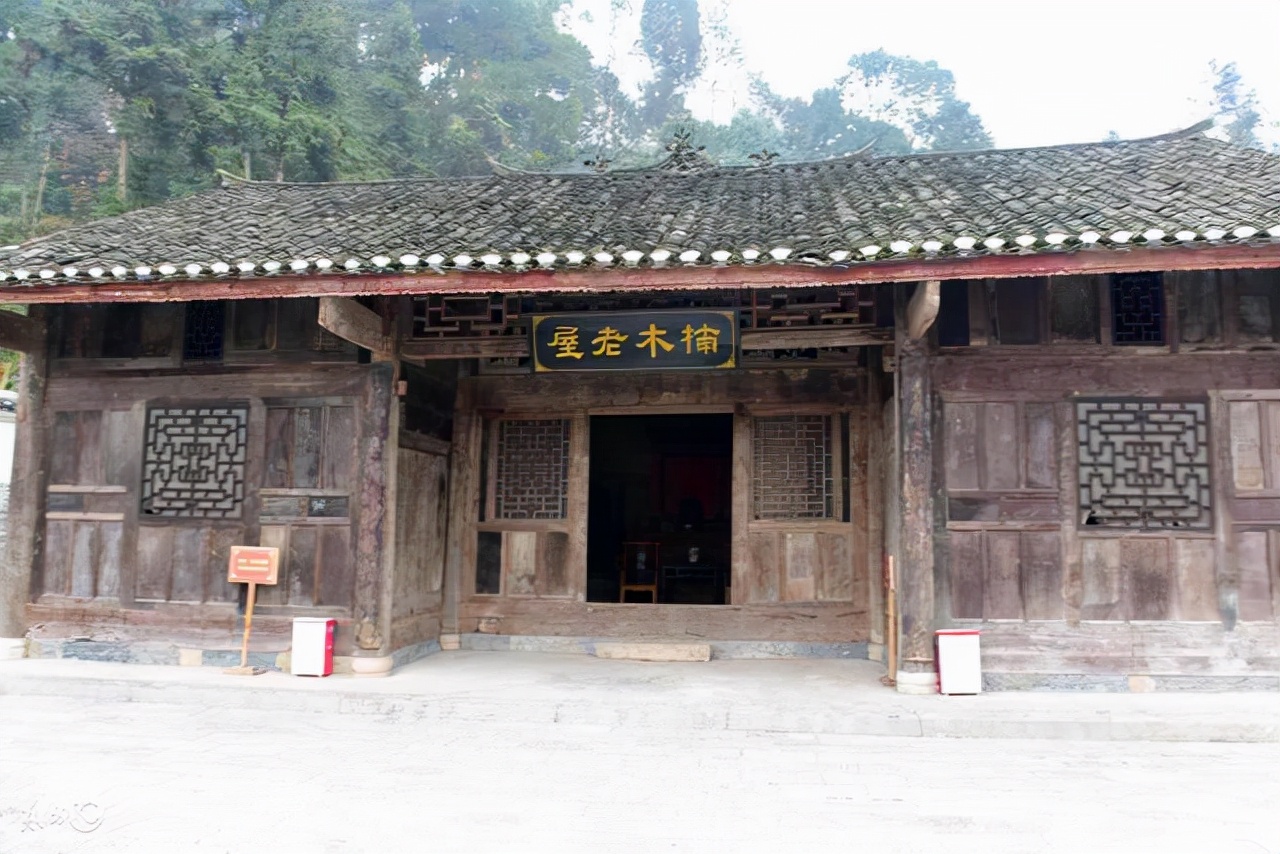金絲楠木價格歷史_湖北恩施金絲楠木樹屋_比黃金還貴的木頭