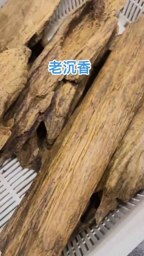 比黃金還貴的木頭_30年才結(jié)香的沉香價(jià)格_古稀藏家揭秘沉香暴漲真相