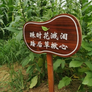 木質(zhì)標(biāo)識(shí) 實(shí)木標(biāo)牌  木標(biāo)識(shí)制作(木頭標(biāo)識(shí)牌)